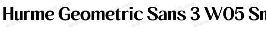 Hurme Geometric Sans 3 W05 SmBd字体转换